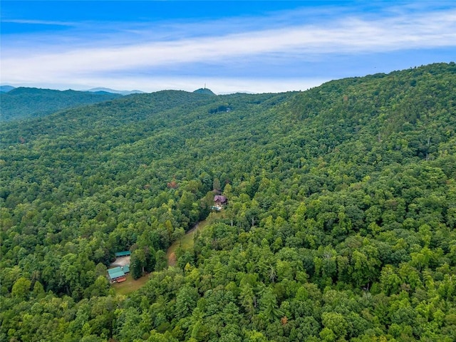 388 Hard To Find Dr, Brevard, NC 28712 - photo 13