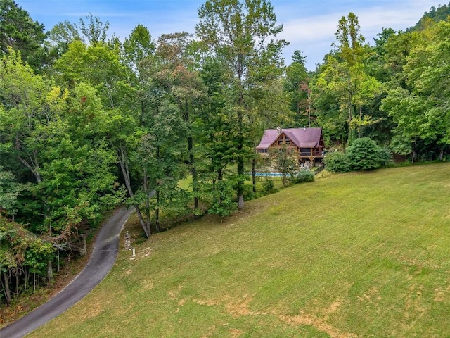 388 Hard To Find Dr, Brevard, NC 28712 - photo 5