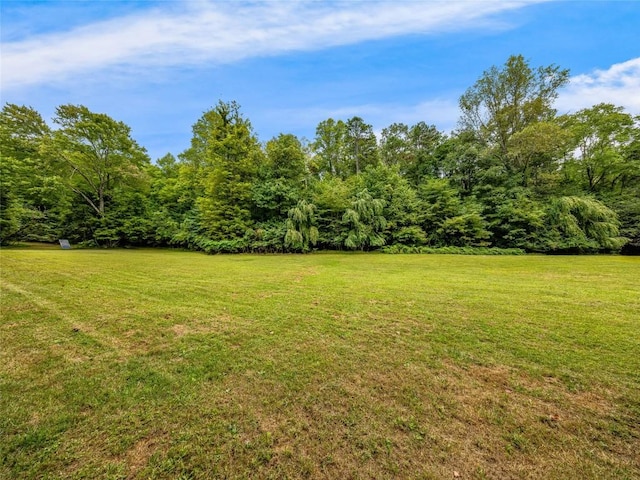 388 Hard To Find Dr, Brevard, NC 28712 - photo 36