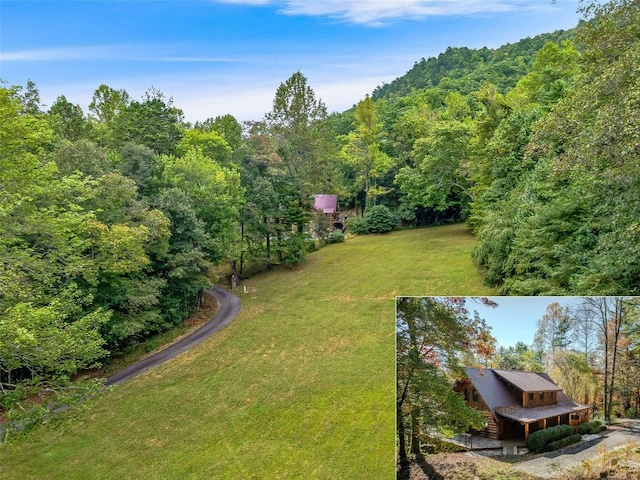 388 Hard To Find Dr, Brevard, NC 28712 - photo 1