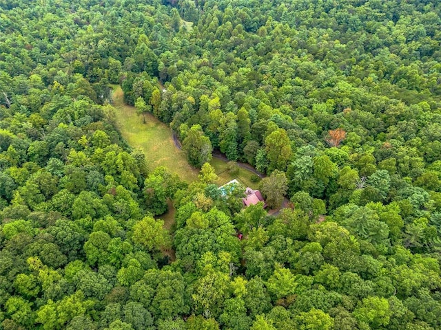 388 Hard To Find Dr, Brevard, NC 28712 - photo 31