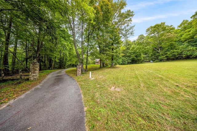 388 Hard To Find Dr, Brevard, NC 28712 - photo 4