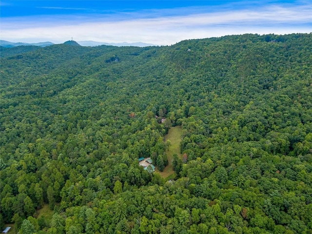 388 Hard To Find Dr, Brevard, NC 28712 - photo 2