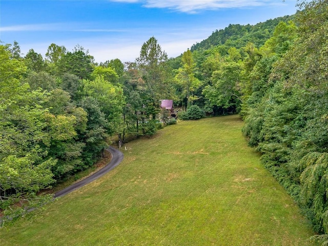 388 Hard To Find Dr, Brevard, NC 28712 - photo 33