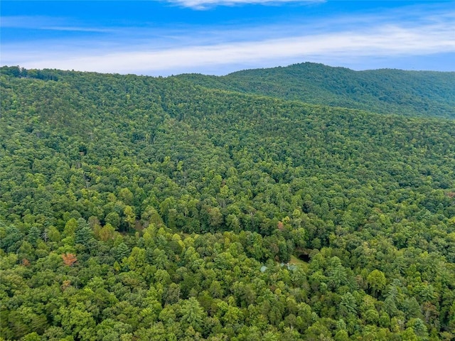 388 Hard To Find Dr, Brevard, NC 28712 - photo 16