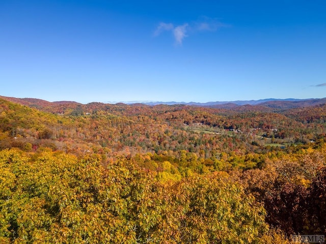 Listing photo 3 for LOT184 Broadview Dr, Highlands NC 28741