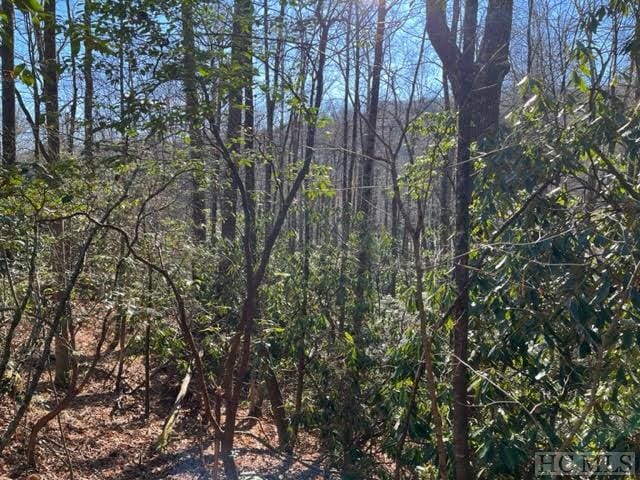 LOT89 W Christy Trl, Sapphire NC, 28774 land for sale