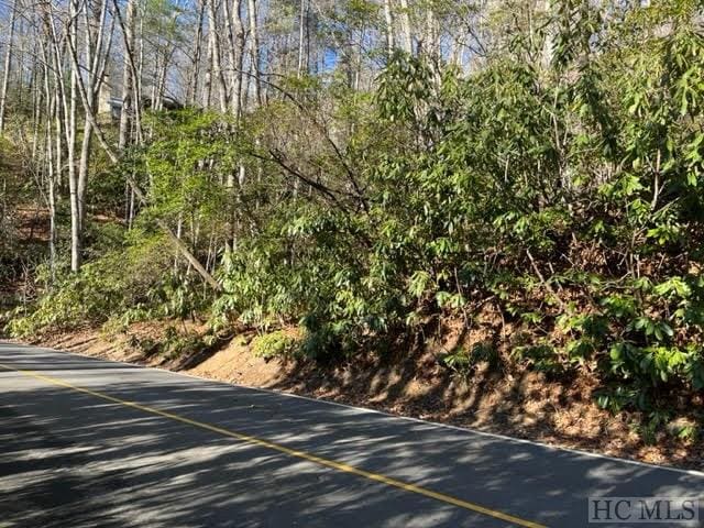 Listing photo 2 for LOT89 W Christy Trl, Sapphire NC 28774