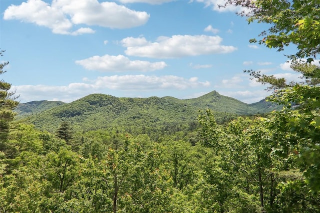 665 Trays Island Rd, Sapphire, NC 28774 - view of mountain backdrop featuring a forest