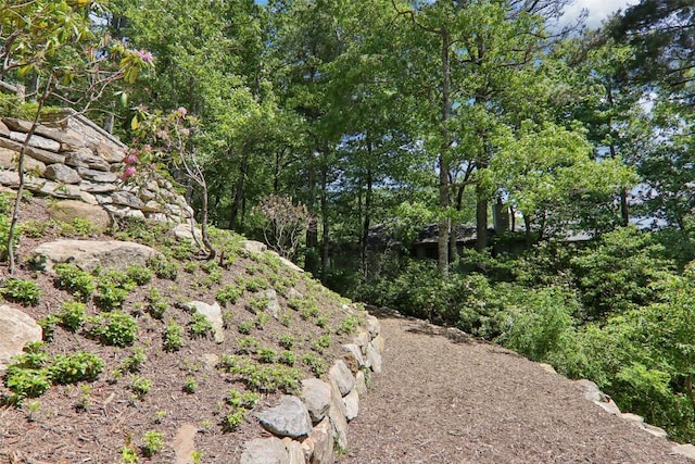 665 Trays Island Rd, Sapphire, NC 28774 - view of yard
