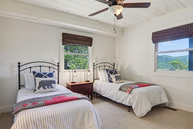 665 Trays Island Rd, Sapphire, NC 28774 - bedroom with multiple windows and carpet flooring