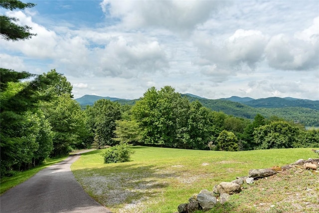 267 Hero Ln, Glenville, NC 28736 - mountain view with a heavily wooded area