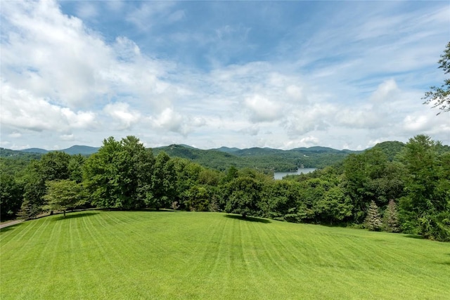 267 Hero Ln, Glenville, NC 28736 - view of mountain background
