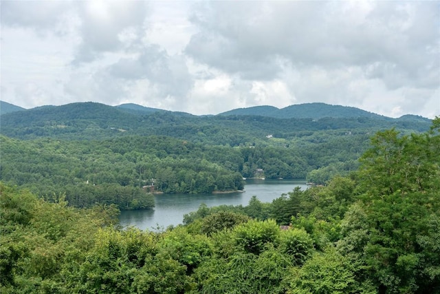 267 Hero Ln, Glenville, NC 28736 - view of mountain backdrop with a large body of water and a forest