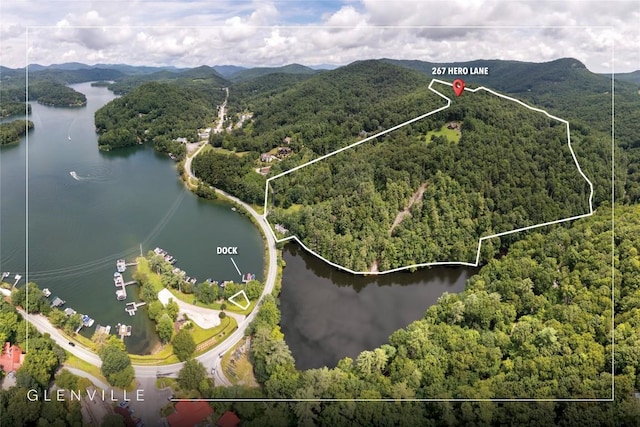 267 Hero Ln, Glenville, NC 28736 - aerial view of property and surrounding area featuring property parcel outlined and a water and mountain view