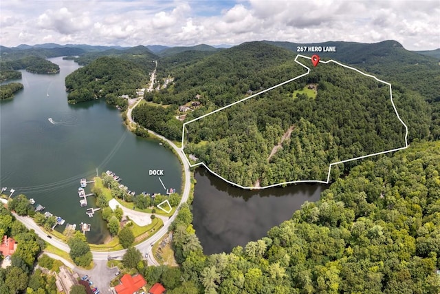 267 Hero Ln, Glenville, NC 28736 - aerial view of property and surrounding area with a water and mountain view and property boundaries highlighted