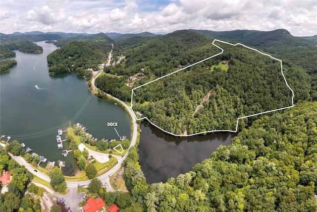 267 Hero Ln, Glenville, NC 28736 - view of property location with a water and mountain view and property boundaries highlighted