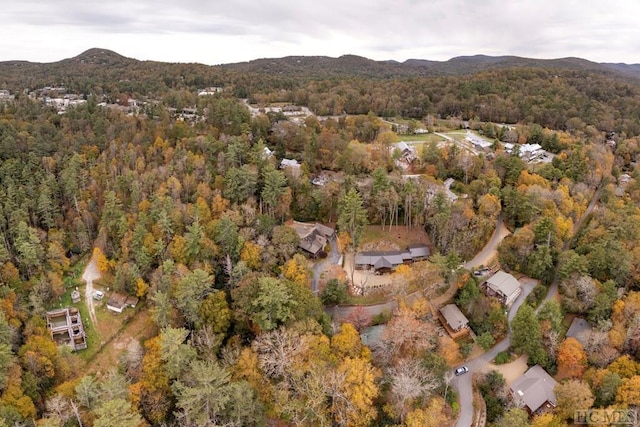 bird's eye view featuring a mountain view