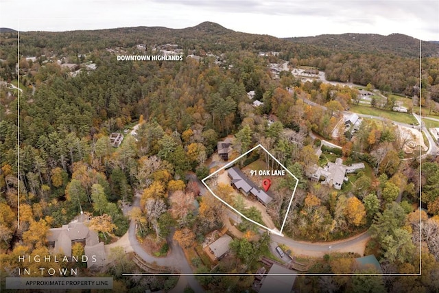 birds eye view of property with a mountain view