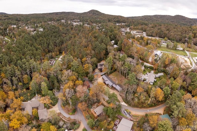 drone / aerial view with a mountain view