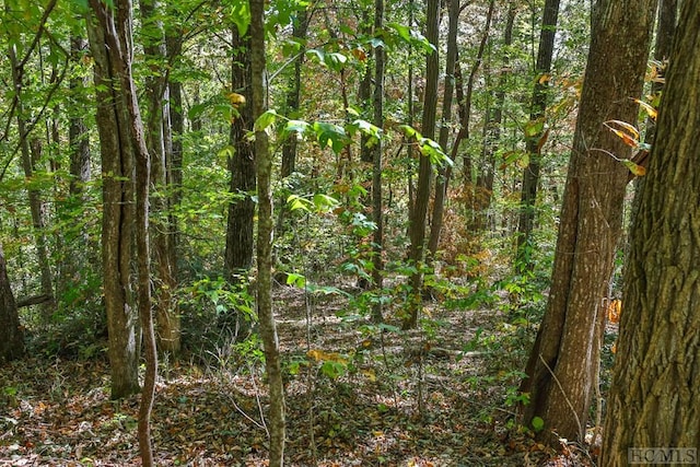 LOT89 Black Oak Dr, Sapphire, NC 28774