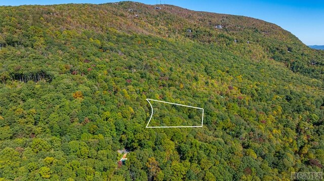 LOT89 Black Oak Dr, Sapphire, NC 28774
