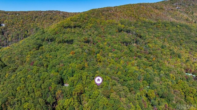 LOT89 Black Oak Dr, Sapphire, NC 28774