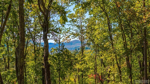 LOT89 Black Oak Dr, Sapphire, NC 28774