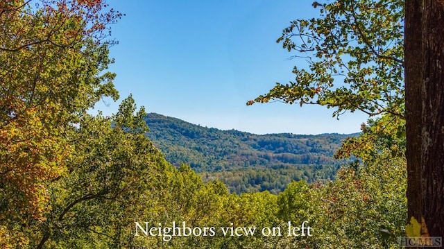 LOT89 Black Oak Dr, Sapphire, NC 28774