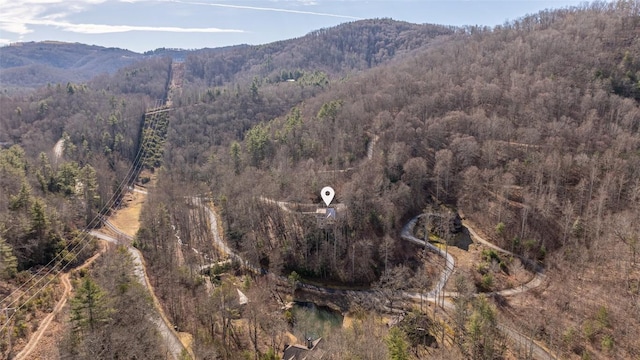 aerial view with a mountain view