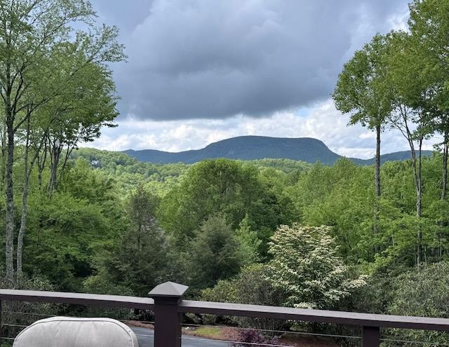108 W View Way, Highlands, NC 28741 - view of mountain background featuring a heavily wooded area