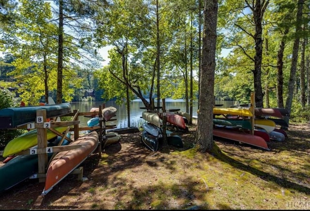 135 Whisper Lake Dr, Sapphire, NC 28774 - view of yard