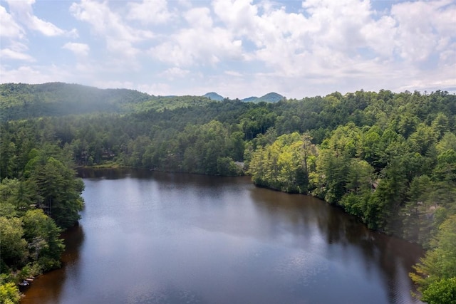 135 Whisper Lake Dr, Sapphire, NC 28774 - water view featuring a forest and mountains
