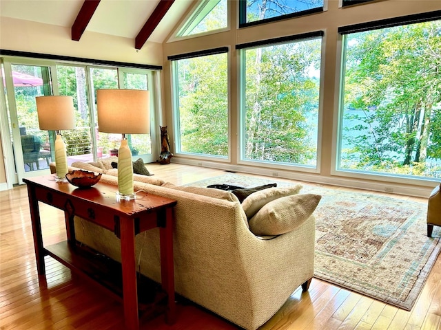 135 Whisper Lake Dr, Sapphire, NC 28774 - living room with plenty of natural light and hardwood / wood-style flooring