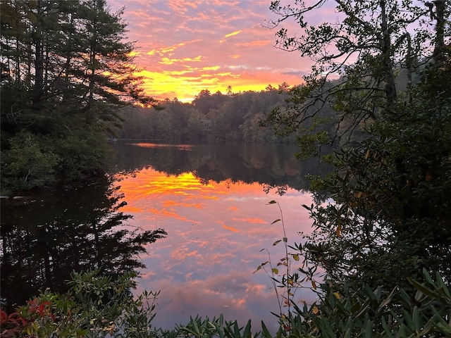135 Whisper Lake Dr, Sapphire, NC 28774 - water view featuring a forest
