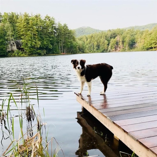 135 Whisper Lake Dr, Sapphire, NC 28774 - dock featuring a wooded view and a water view
