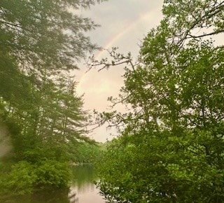 135 Whisper Lake Dr, Sapphire, NC 28774 - view of undeveloped land