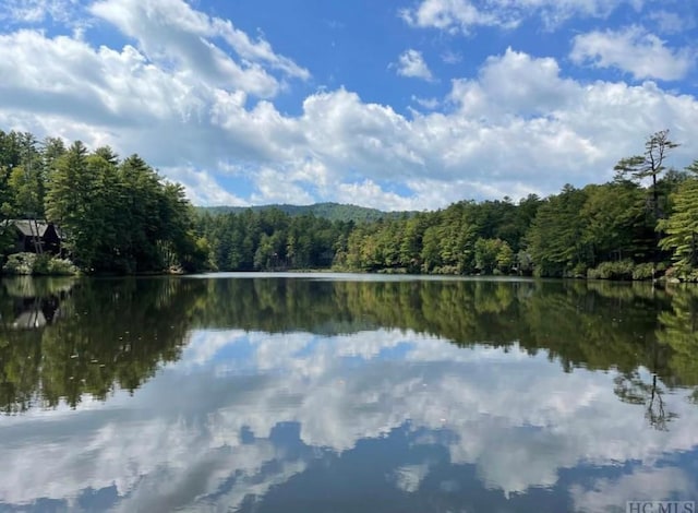 135 Whisper Lake Dr, Sapphire, NC 28774 - water view featuring a heavily wooded area