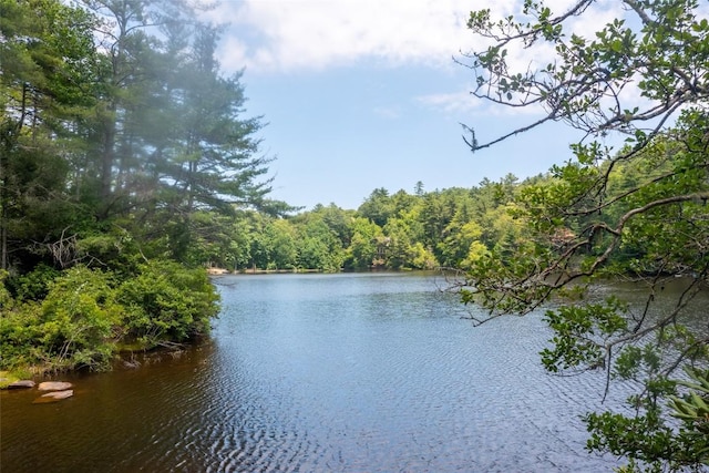 135 Whisper Lake Dr, Sapphire, NC 28774 - water view with a forest