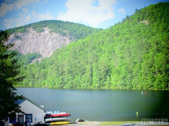 135 Whisper Lake Dr, Sapphire, NC 28774 - water view featuring a heavily wooded area and a mountain backdrop