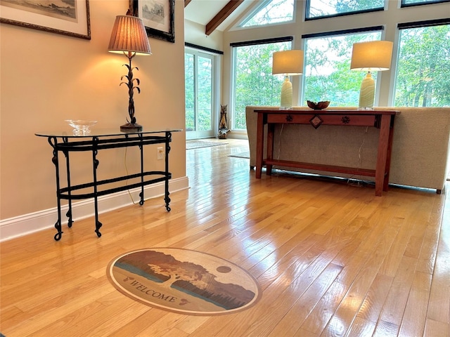 135 Whisper Lake Dr, Sapphire, NC 28774 - hall with hardwood / wood-style floors and plenty of natural light