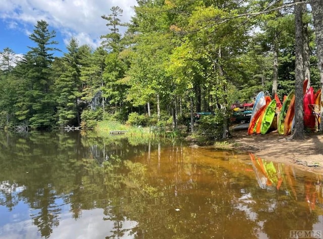 135 Whisper Lake Dr, Sapphire, NC 28774 - water view with a forest