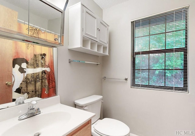 bathroom with vanity, toilet, and a wealth of natural light