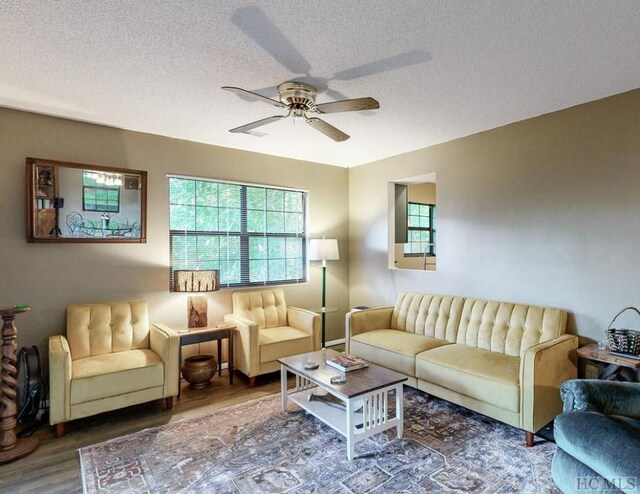 353 Vistawilla Dr, Glenville, NC 28736 - living room featuring ceiling fan, dark hardwood / wood-style flooring, and a textured ceiling