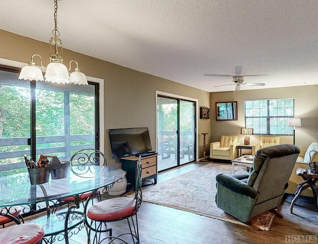 living room with ceiling fan, plenty of natural light, hardwood / wood-style floors, and a textured ceiling