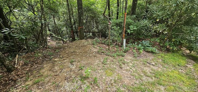30 Rock Creek Ct, Sapphire, NC 28774