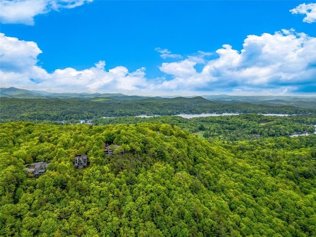 399 Toxaway Ct, Lake Toxaway, NC 28747 - mountain view featuring a heavily wooded area