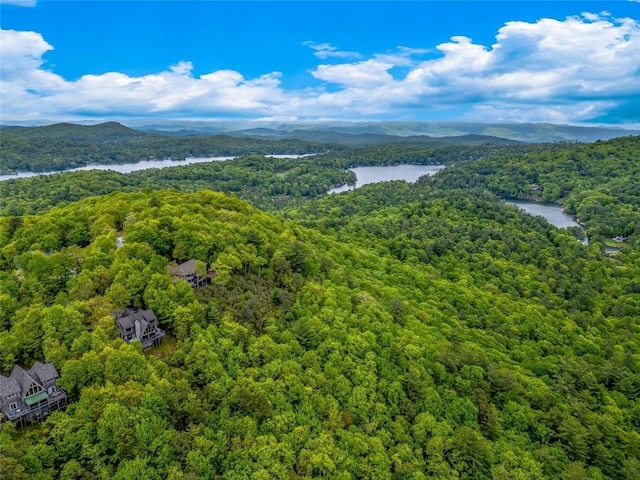 399 Toxaway Ct, Lake Toxaway, NC 28747 - drone / aerial view of a forest and a water and mountain view