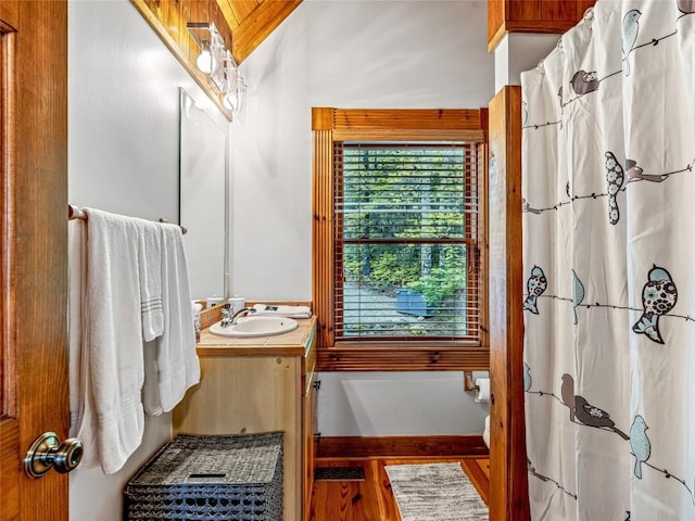 399 Toxaway Ct, Lake Toxaway, NC 28747 - full bathroom with vanity, wood finished floors, and a shower with curtain