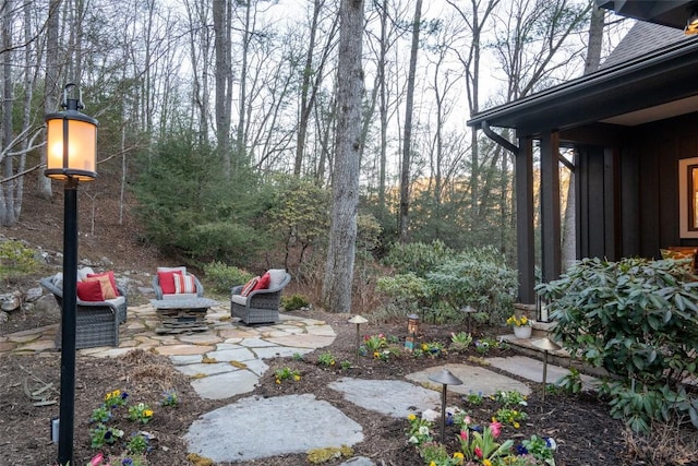 view of yard featuring a patio area